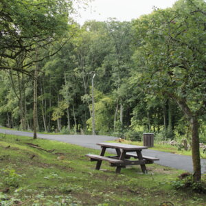 Voie Verte Ennemane Haraucourt