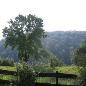 Vue Panorama Williers