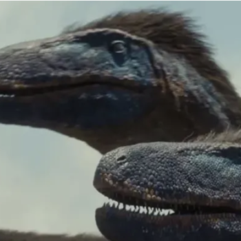 Image représentant un groupe de dinosaures.