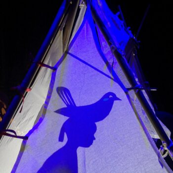 Ombres d'un oiseau et d'un enfant dessinées sur une toile 