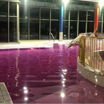 Piscine colorée Hall'eau'ween