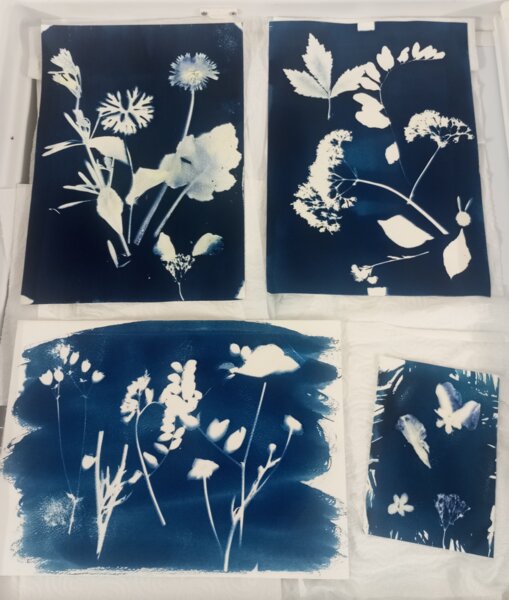 Atelier créatif cyanotype