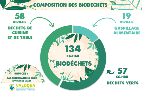graphique détaillants la composition des biodéchets : déchets de cuisine et de table, gaspillage alimentaire, déchets verts