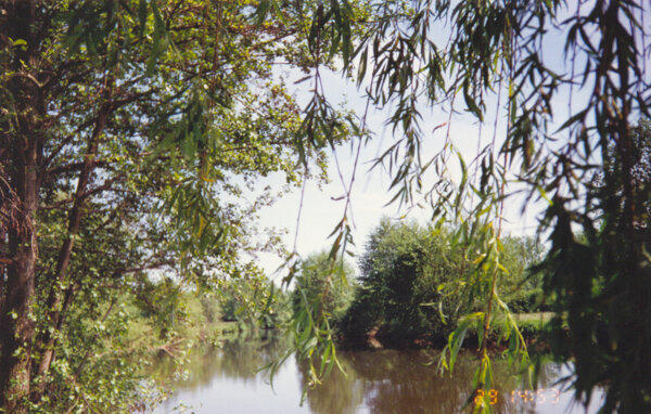 Photo : Bordure de Chiers