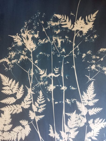 Atelier créatif cyanotype