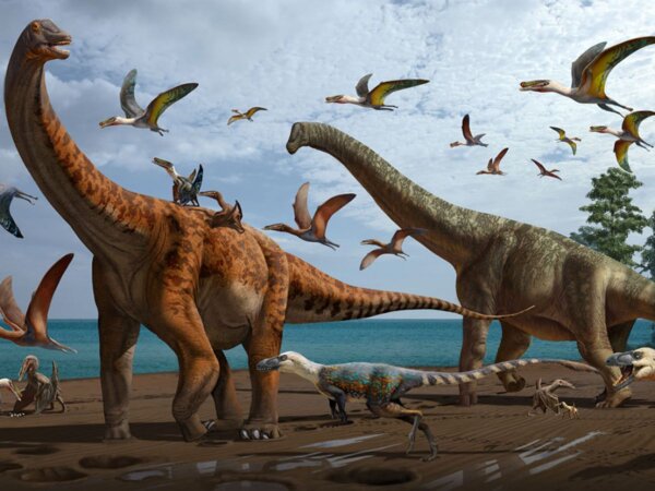 Image : Des dinosaures