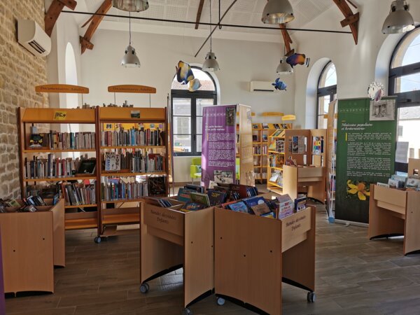 Photo : Espace Adulte Bibliothèque Messincourt