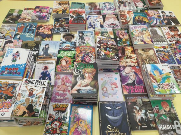 Photo : Mangas