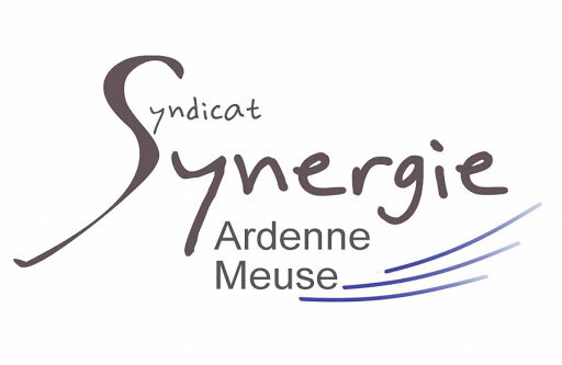 Logo : Synergie