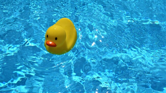 squeaky-duck-g48a4610c0_1920.jpg